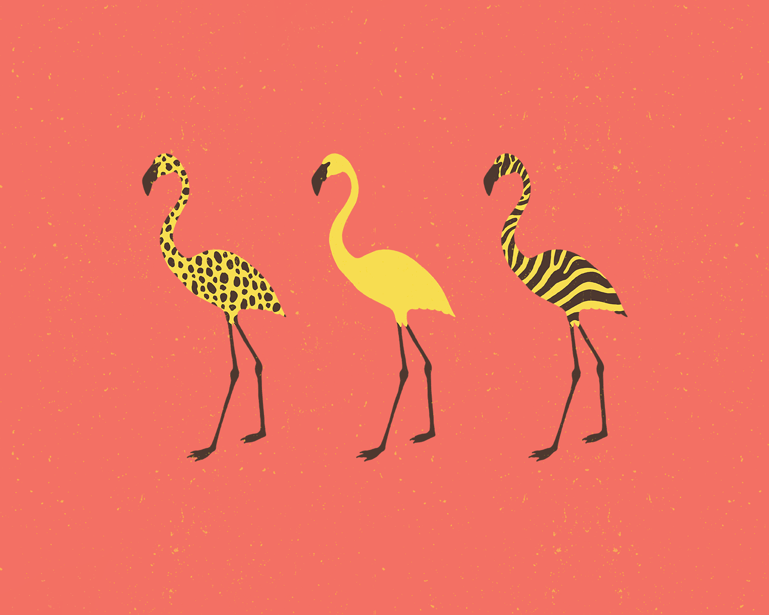 Fun Flamingo Trio - Coral
