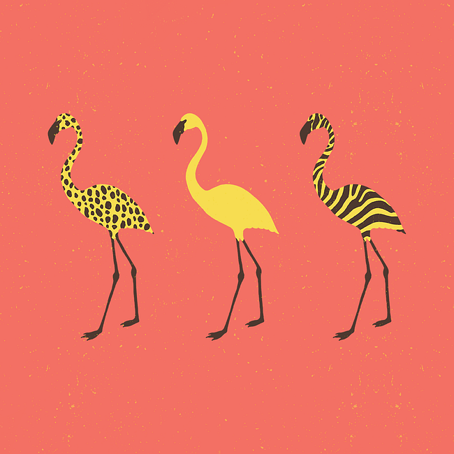 Fun Flamingo Trio - Coral